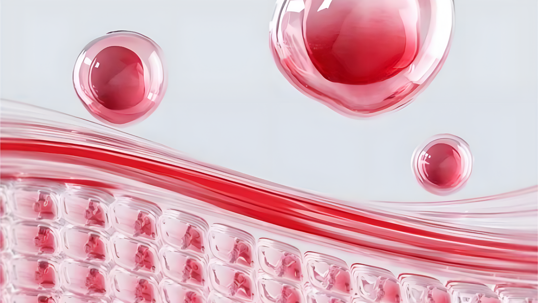 Sérums, crèmes et soins : comment choisir les bons produits pour votre peau